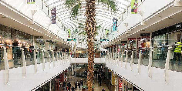 palmtree indoors in Cribbs Causeway shopping centre in Bristol
